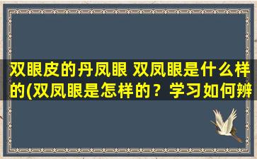 双眼皮的丹凤眼 双凤眼是什么样的(双凤眼是怎样的？学习如何辨别丹凤双眼皮！)